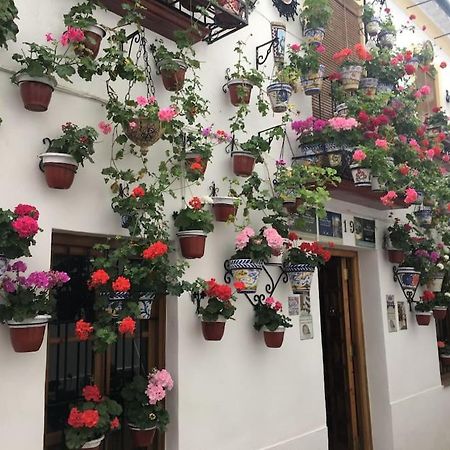 Apartamento Zoco Kordoba Zewnętrze zdjęcie