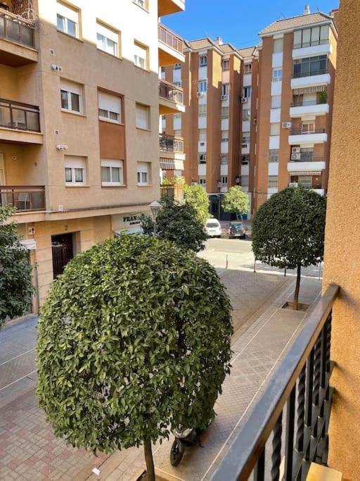Apartamento Zoco Kordoba Zewnętrze zdjęcie