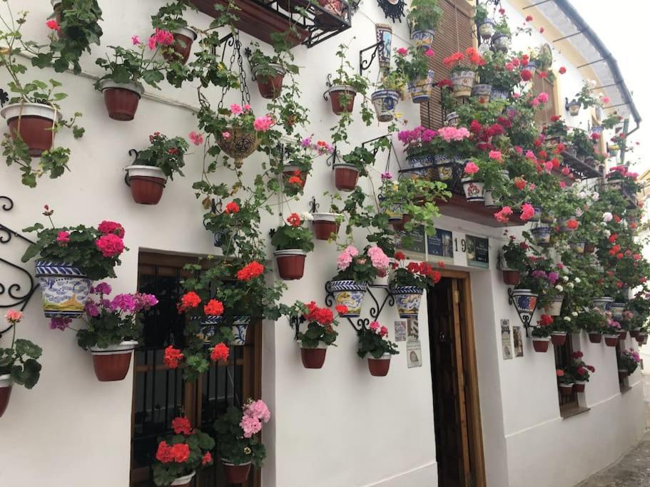 Apartamento Zoco Kordoba Zewnętrze zdjęcie